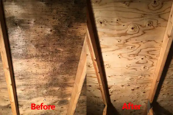water damage restoration service Prospect Park